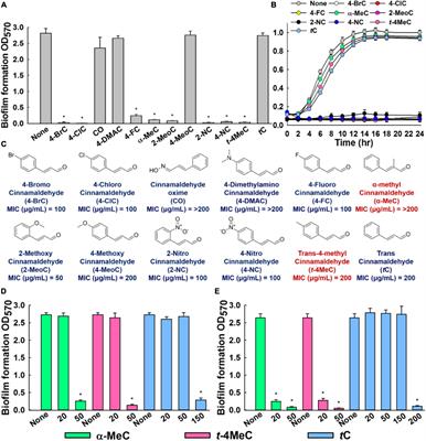 Appraisal of Cinnamaldehyde Analogs as Dual-Acting Antibiofilm and Anthelmintic Agents